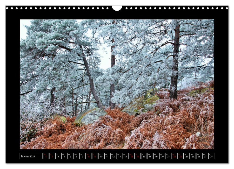 Paysages de Fontainebleau (CALVENDO Calendrier mensuel 2025)