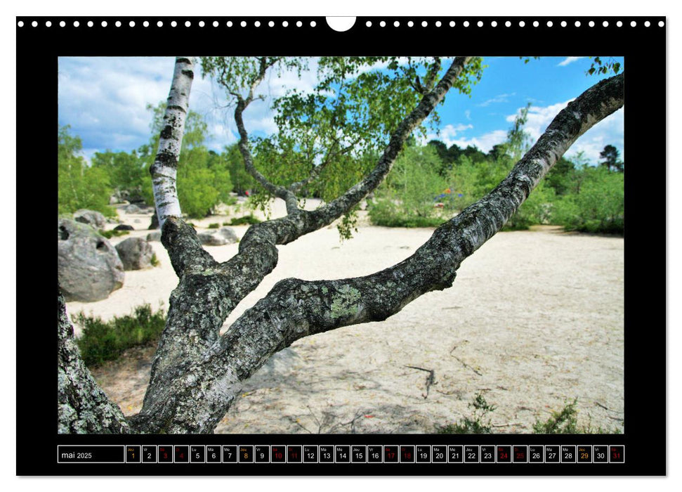 Paysages de Fontainebleau (CALVENDO Calendrier mensuel 2025)