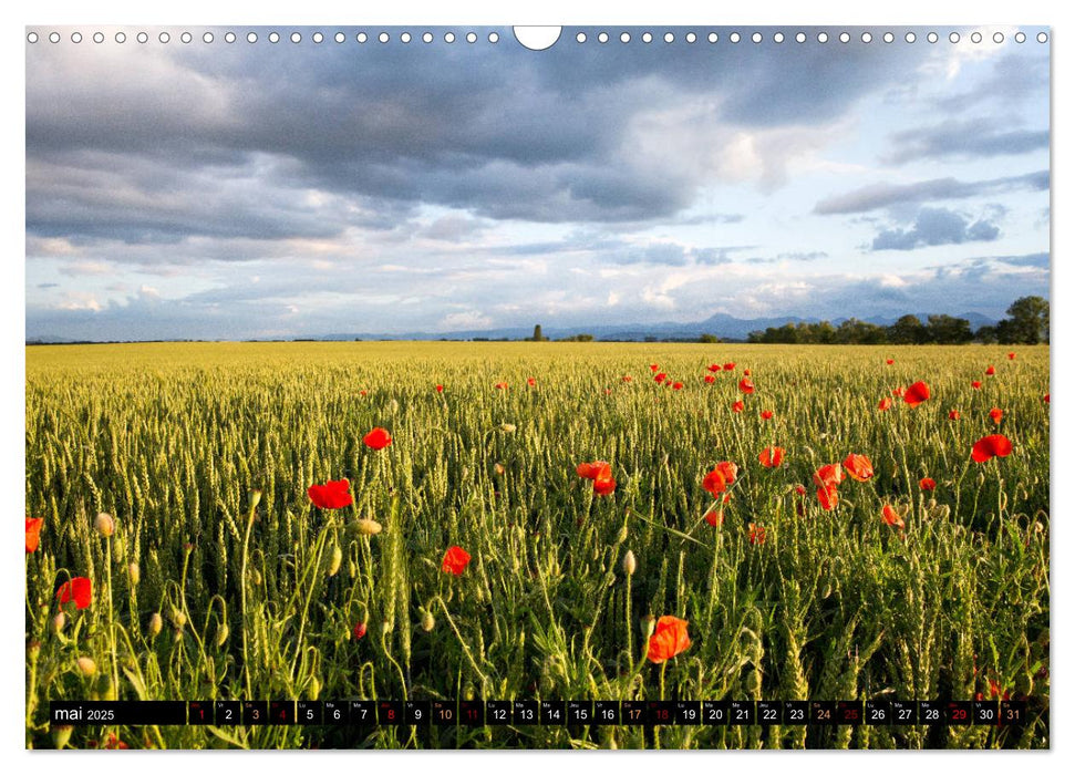 Paysages d'Auvergne (CALVENDO Calendrier mensuel 2025)