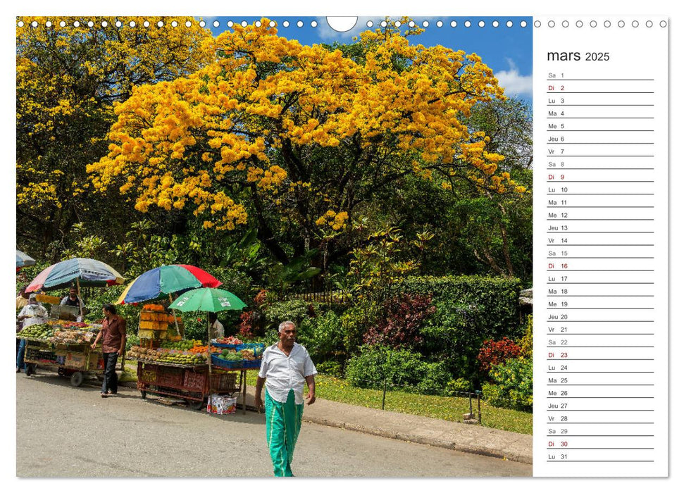 Sri Lanka, île de rêve (CALVENDO Calendrier mensuel 2025)