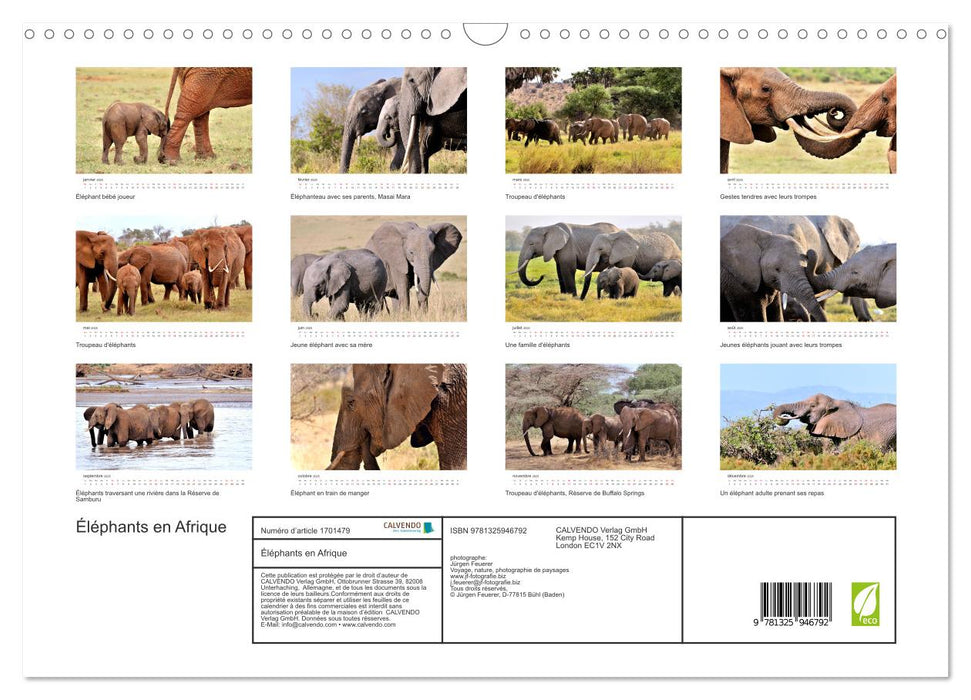 Éléphants en Afrique (CALVENDO Calendrier mensuel 2025)