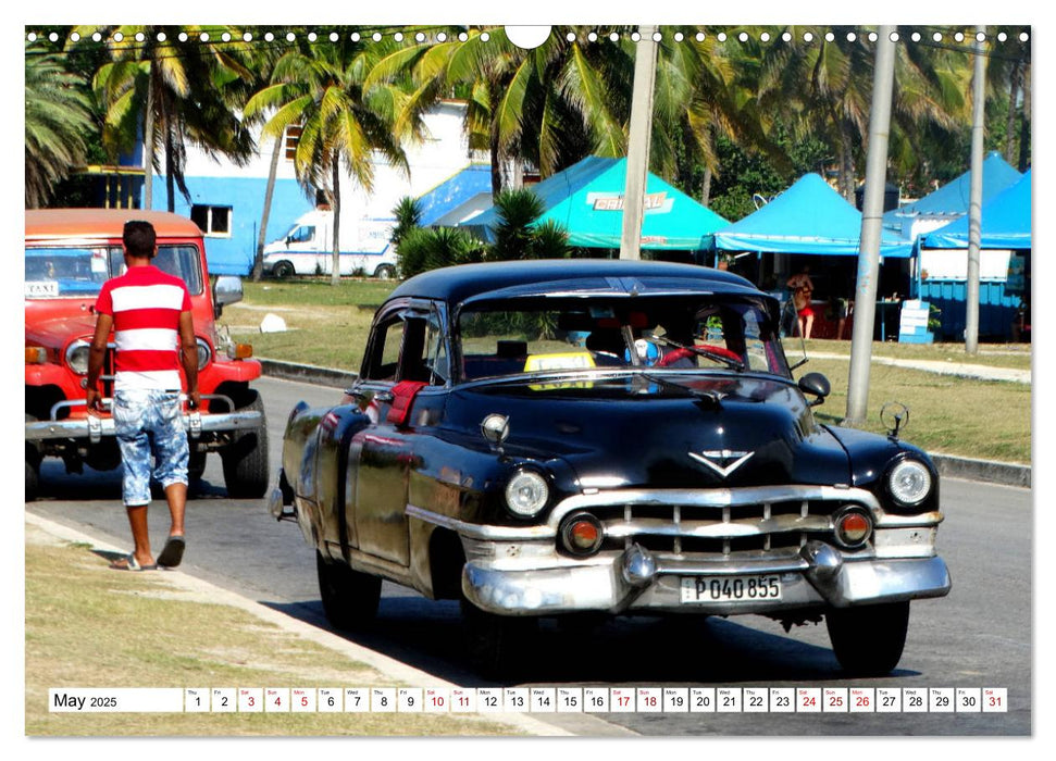 1952 CADILLAC (CALVENDO Monthly Calendar 2025)