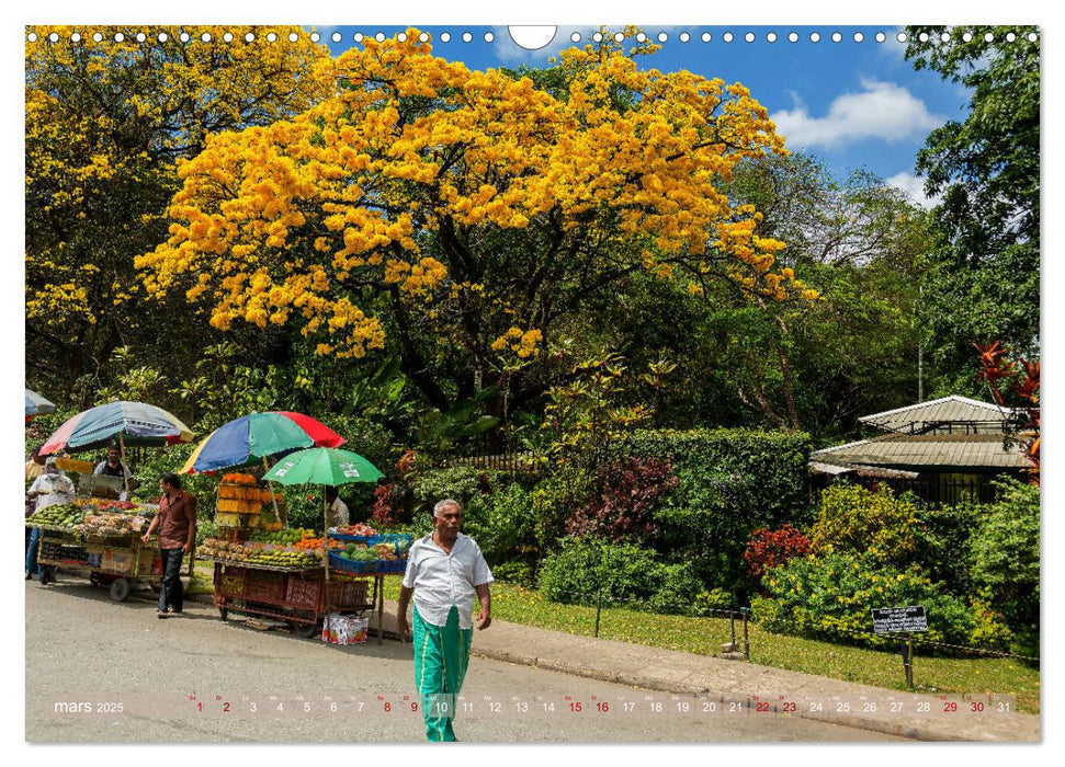 Sri Lanka, île de rêve (CALVENDO Calendrier mensuel 2025)