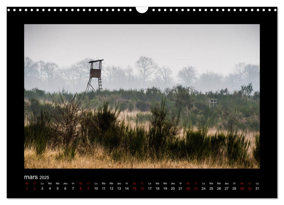 Photo-Tableaux (CALVENDO Calendrier mensuel 2025)