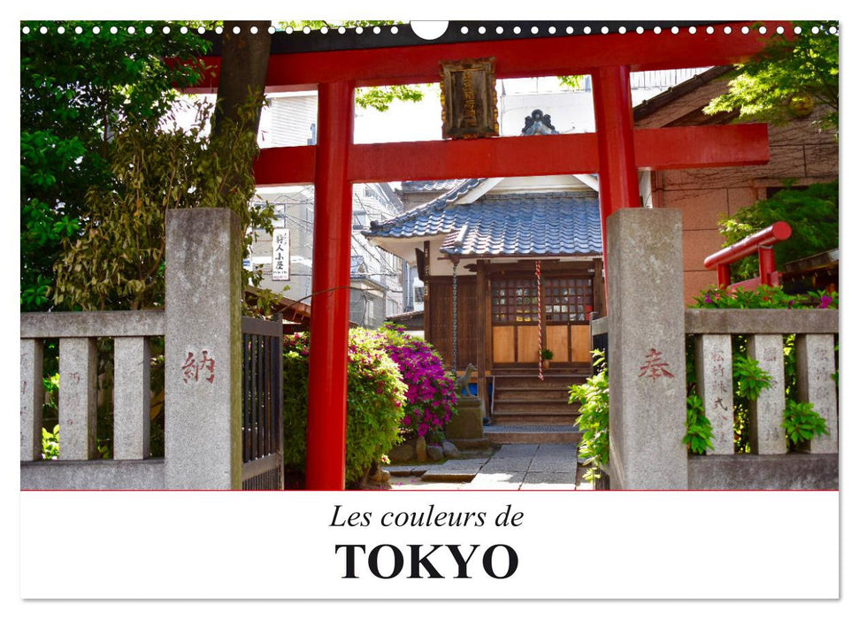 Les couleurs de Tokyo (CALVENDO Calendrier mensuel 2025)