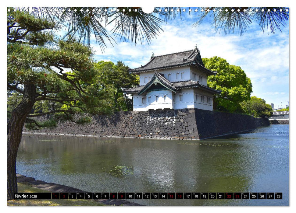 Les couleurs de Tokyo (CALVENDO Calendrier mensuel 2025)