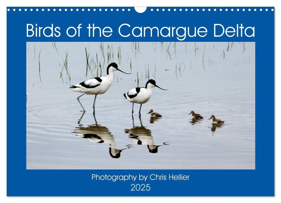 Birds of the Camargue Delta (CALVENDO Monthly Calendar 2025)