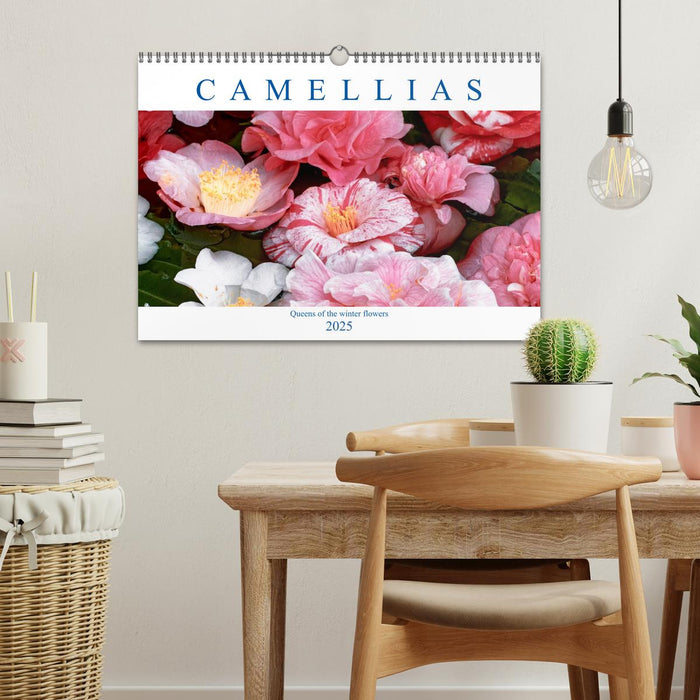 Camellias (CALVENDO Monthly Calendar 2025)