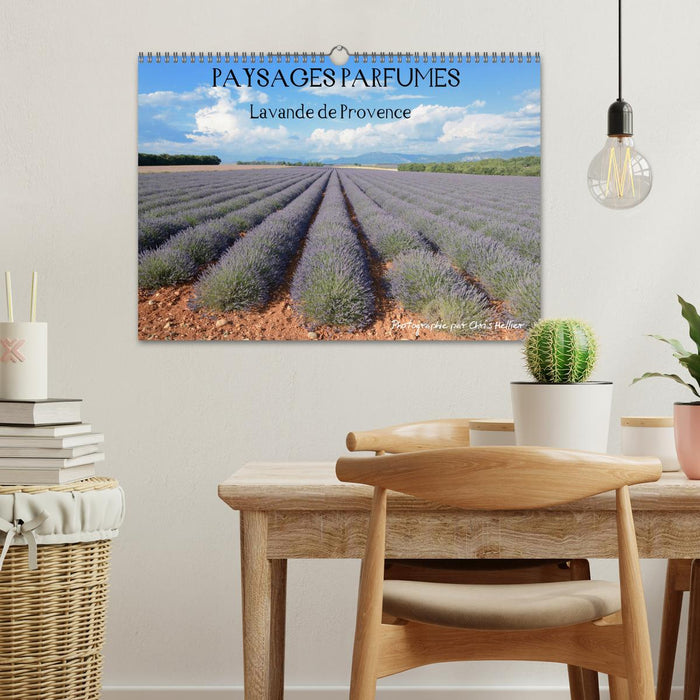 Paysages parfumés - Lavende de Provence (CALVENDO Calendrier mensuel 2025)