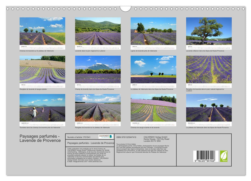 Paysages parfumés - Lavende de Provence (CALVENDO Calendrier mensuel 2025)