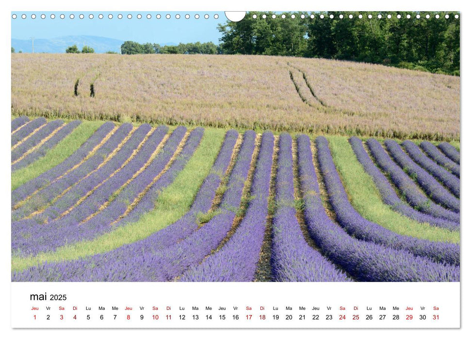 Paysages parfumés - Lavende de Provence (CALVENDO Calendrier mensuel 2025)