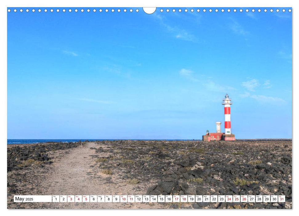 Fuerteventura, the untamed Canary Island (CALVENDO Monthly Calendar 2025)