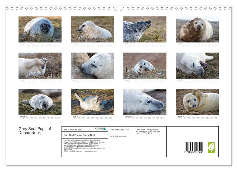 Grey Seal Pups of Donna Nook (CALVENDO Monthly Calendar 2025)