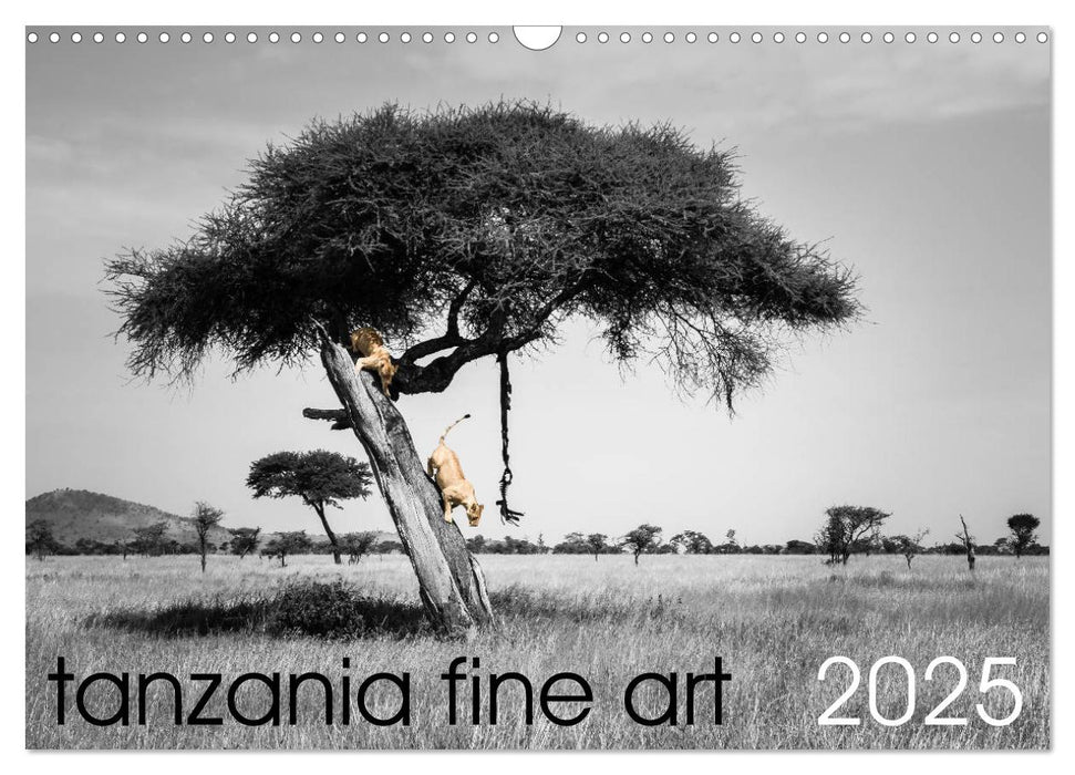 tanzania fine art (CALVENDO Monthly Calendar 2025)