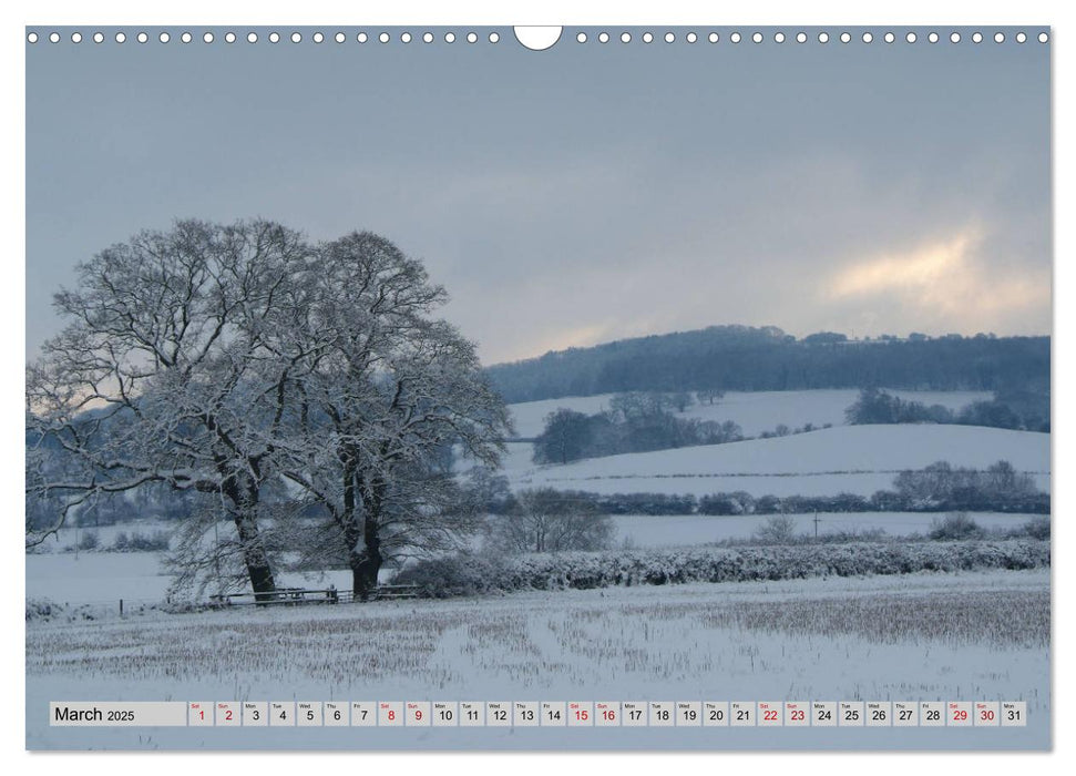 Snow Scenes (CALVENDO Monthly Calendar 2025)