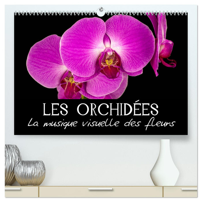 Les Orchidées - La musique visuelle des fleurs (CALVENDO Calendrier supérieur 2025)