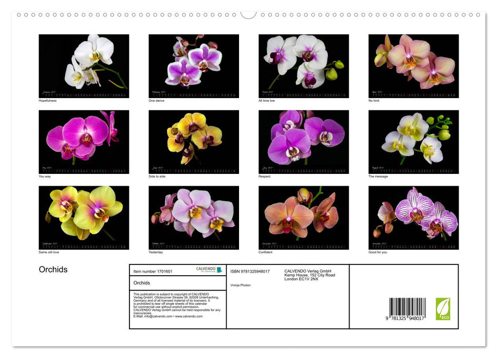 Orchids (CALVENDO Premium-Calendar 2025)