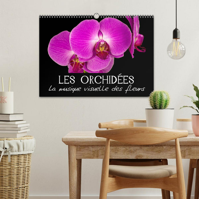 Les Orchidées - La musique visuelle des fleurs (CALVENDO Calendrier mensuel 2025)