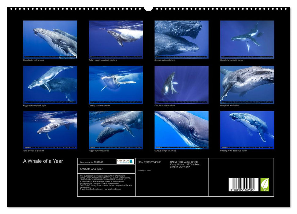 A Whale of a Year (CALVENDO Premium-Calendar 2025)