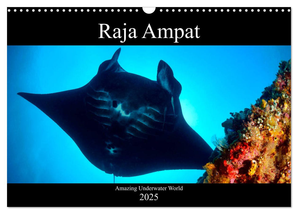 Raja Ampat - Amazing Underwater World (CALVENDO Monthly Calendar 2025)