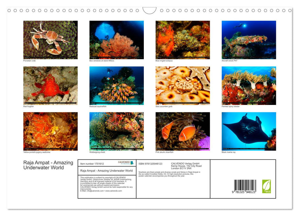 Raja Ampat - Amazing Underwater World (CALVENDO Monthly Calendar 2025)