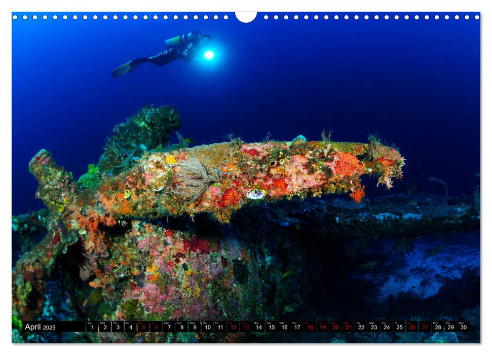 Raja Ampat - Amazing Underwater World (CALVENDO Monthly Calendar 2025)