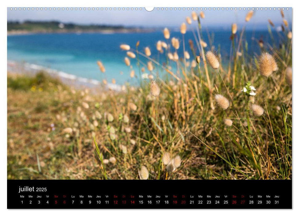 Belle-Île, la belle (CALVENDO Calendrier supérieur 2025)