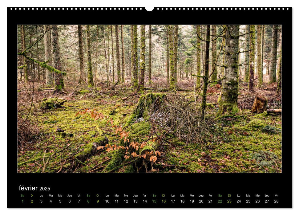 L'Auvergne est belle (CALVENDO Calendrier supérieur 2025)