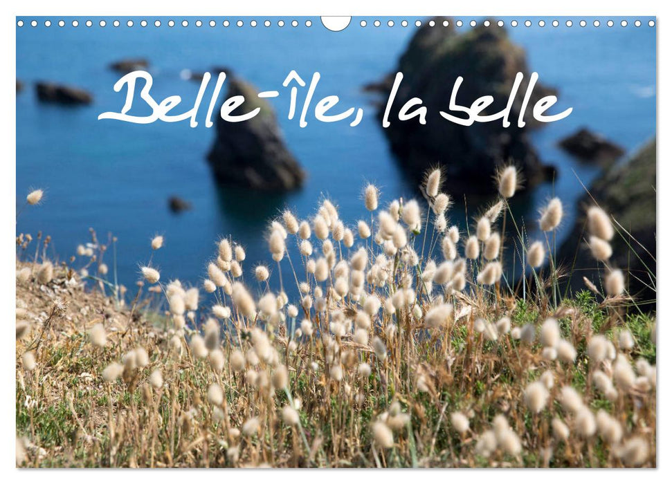 Belle-Île, la belle (CALVENDO Calendrier mensuel 2025)