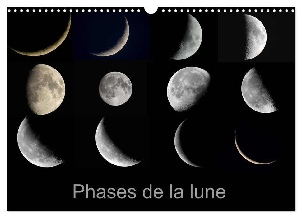 Phases de la lune (CALVENDO Calendrier mensuel 2025)