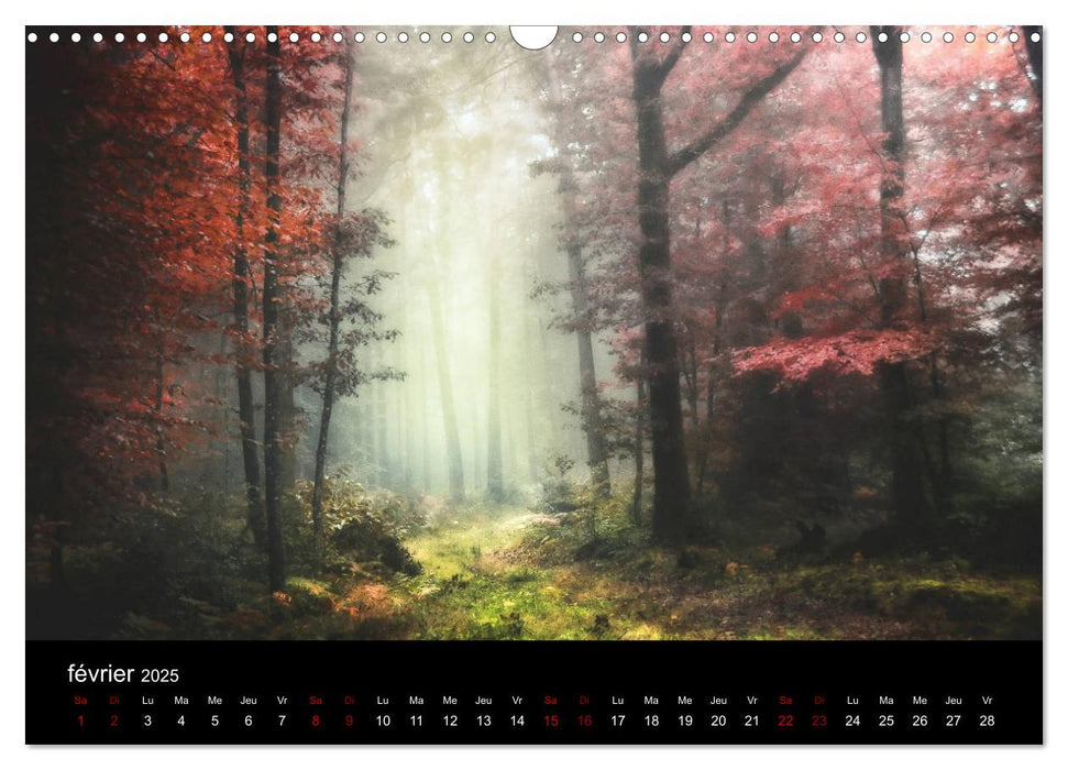 Lumières de Brocéliande (CALVENDO Calendrier mensuel 2025)