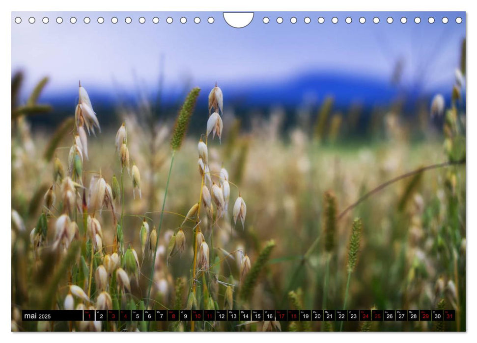 Paysages du Québec (CALVENDO Calendrier mensuel 2025)