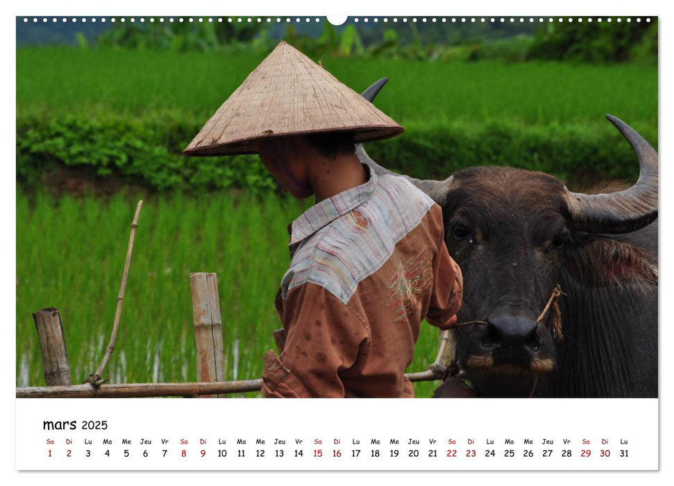 Vietnam du Nord au Sud (CALVENDO Calendrier supérieur 2025)