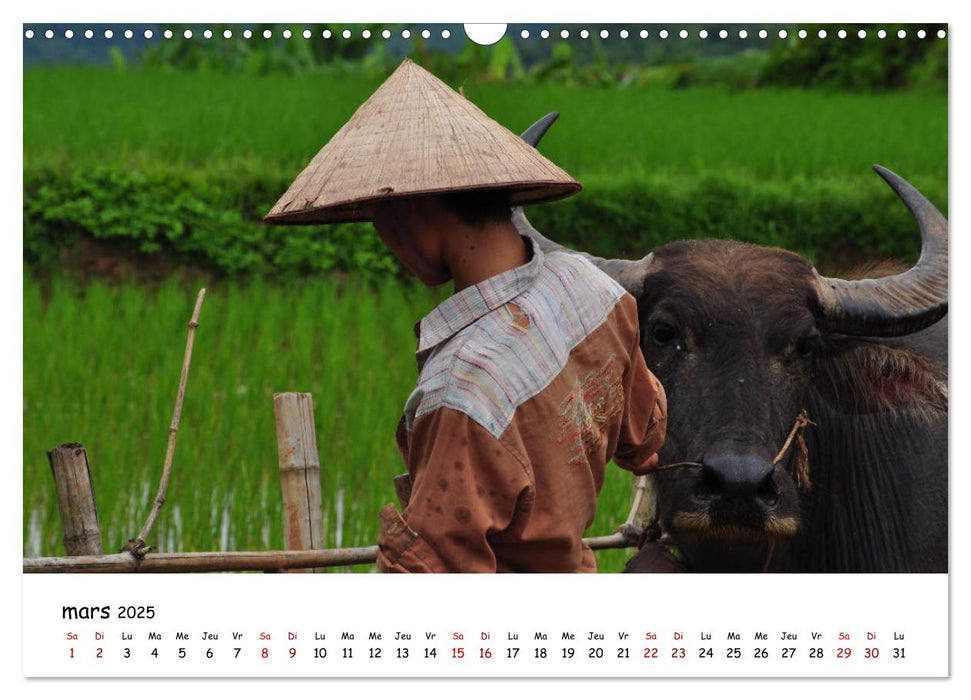 Vietnam du Nord au Sud (CALVENDO Calendrier mensuel 2025)