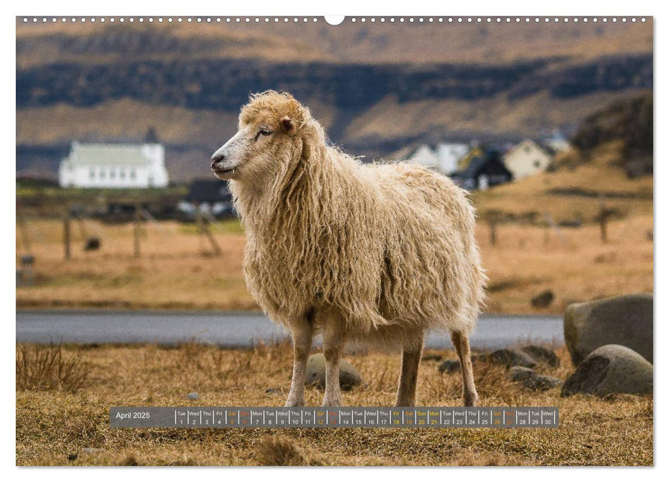 Spectacular beauty - Faroe Islands (CALVENDO Premium-Calendar 2025)