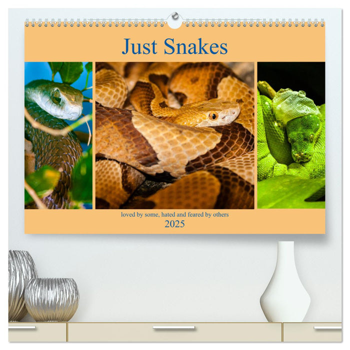 Just Snakes (CALVENDO Premium-Calendar 2025)