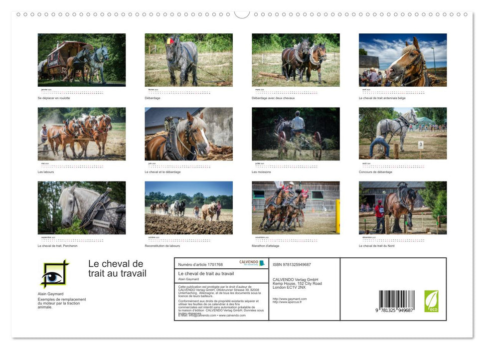 Le cheval de trait au travail (CALVENDO Calendrier supérieur 2025)