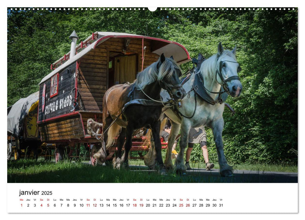 Le cheval de trait au travail (CALVENDO Calendrier supérieur 2025)