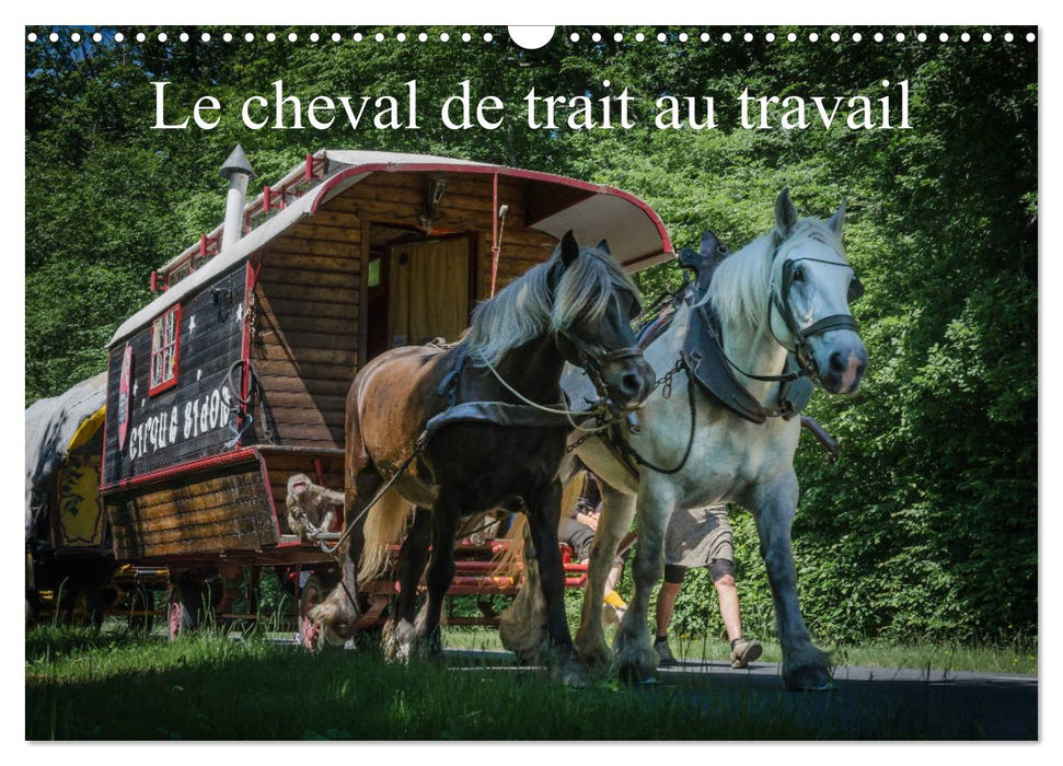 Le cheval de trait au travail (CALVENDO Calendrier mensuel 2025)