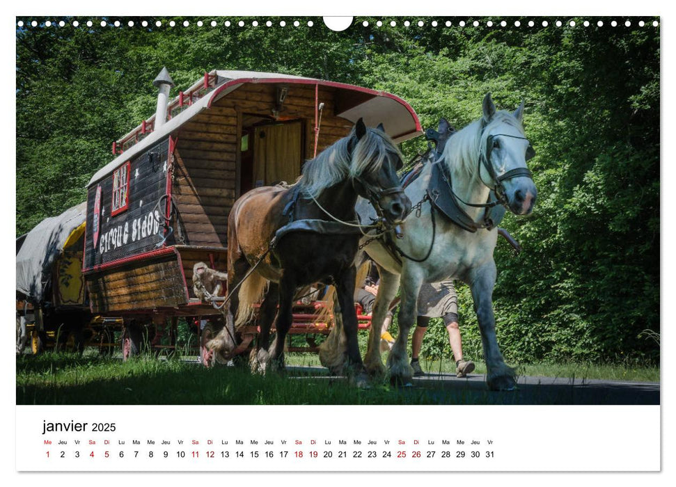 Le cheval de trait au travail (CALVENDO Calendrier mensuel 2025)