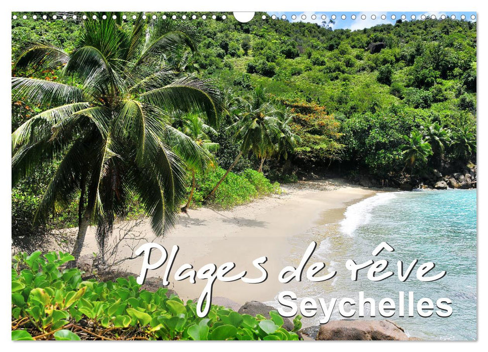 Plages de rêve Seychelles (CALVENDO Calendrier mensuel 2025)