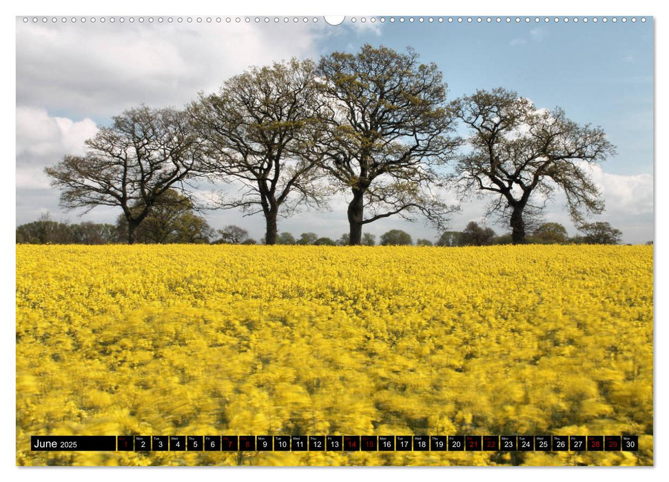 Welsh Landscapes (CALVENDO Premium-Calendar 2025)