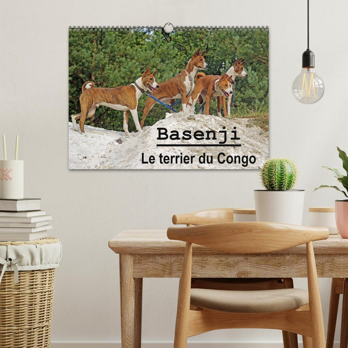 Basenji Le terrier du Congo (CALVENDO Calendrier mensuel 2025)