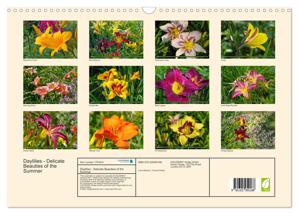 Daylilies - Delicate Beauties of the Summer (CALVENDO Monthly Calendar 2025)