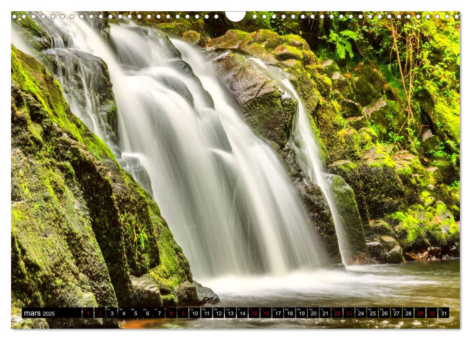 L'été dans les Vosges (CALVENDO Calendrier mensuel 2025)