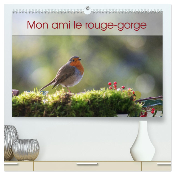 Mon ami le rouge-gorge (CALVENDO Calendrier supérieur 2025)