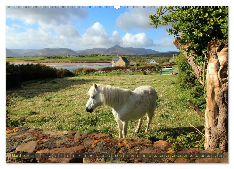 dreaming of IRELAND (CALVENDO Premium-Calendar 2025)