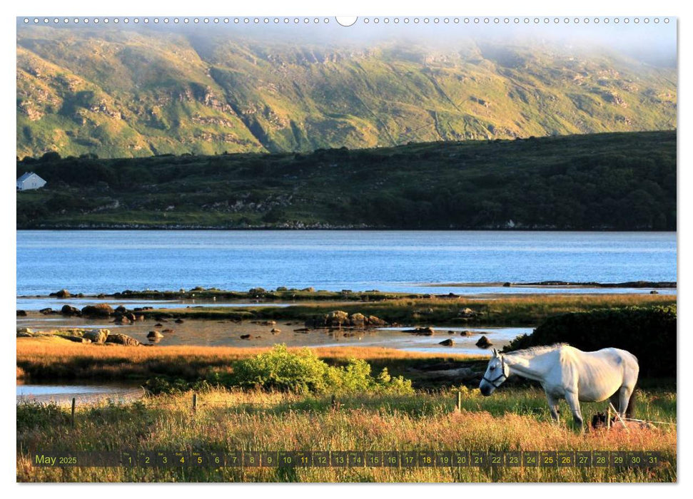 dreaming of IRELAND (CALVENDO Premium-Calendar 2025)