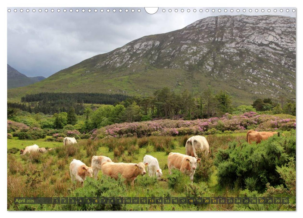 dreaming of IRELAND (CALVENDO Monthly Calendar 2025)