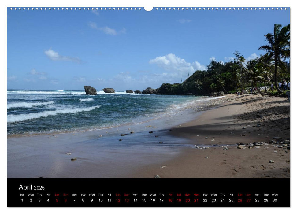 Cruise Caribbean (CALVENDO Premium-Calendar 2025)